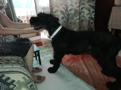 Дарси дома.jpg (96.81 КБ) 2232 просмотра Дарси дома.jpg