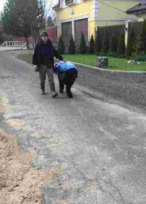 Wax22ctyduk.jpg (24.2 КБ) 5833 просмотра Wax22ctyduk.jpg