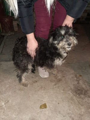 VXEX7695.JPG (168.56 КБ) 3103 просмотра Теффи...