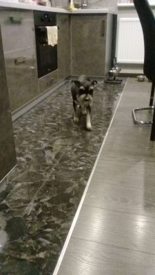 XNJD4339.JPG (86.45 КБ) 3099 просмотров Теффи через 24 часа