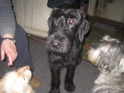 IMG_0005.JPG (114.91 КБ) 2547 просмотров без комментариев))