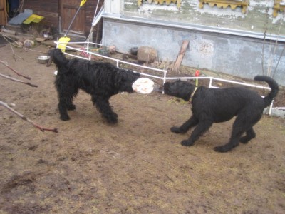 IMG_0125.JPG (135.19 КБ) 3176 просмотров Ну я же тебя вежливо и ласково прошу....