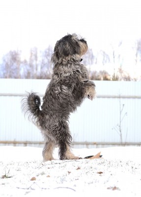 87545787_1267184210142900_2432098138429849600_o.jpg (72.48 КБ) 5275 просмотров Шкипер- первый клоун на деревне))