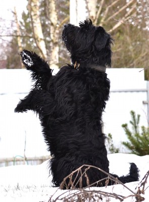 88153231_1267182790143042_8352947960283136000_o.jpg (99.95 КБ) 5275 просмотров Тёмкины приветы всем всем девочкам к празднику)))