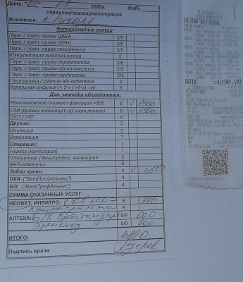 IMG-20200307-WA0012.jpg (161.42 КБ) 34968 просмотров IMG-20200307-WA0012.jpg