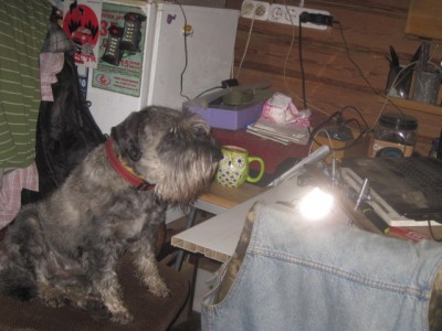 IMG_0531.JPG (115.85 КБ) 2998 просмотров сидим...