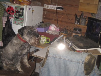 IMG_0532.JPG (112.63 КБ) 2998 просмотров в тырнете