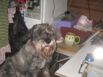 IMG_0533.JPG (114.13 КБ) 3000 просмотров А мы тут