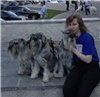 Аватара пользователя