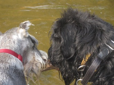 Отнять витамин П можнои на берегу)))