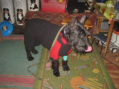 IMG_1671.JPG (121.78 КБ) 3790 просмотров Очень симпатичный мальчик