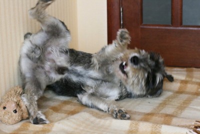 IMG_2282_новый размерR_новый размер.jpg