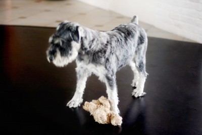 IMG_2151_новый размерR_новый размер.jpg