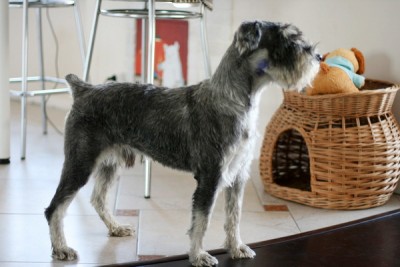 IMG_2076_новый размерR_новый размер.jpg