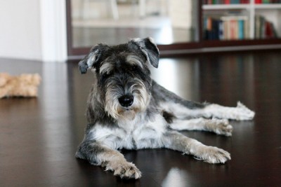 IMG_2215_новый размерR_новый размер.jpg