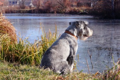 IMG_2738R_1_новый размер_новый размер.jpg