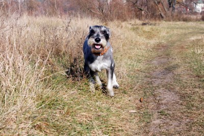 IMG_2590R_1_новый размер_новый размер.jpg