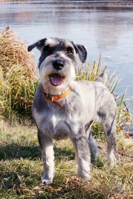 IMG_2768R1_1_новый размер_новый размер.jpg