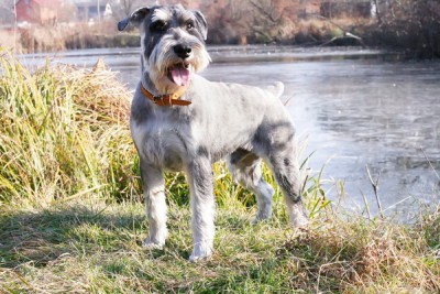 IMG_2833 копия_новый размер_новый размер.jpg