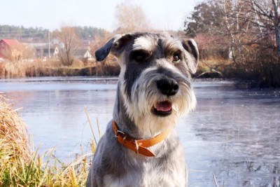 IMG_2747R_2_новый размер_новый размер.jpg