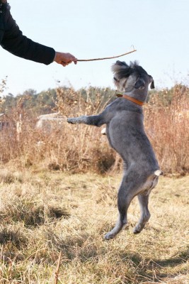 IMG_2800R_новый размер_новый размер.jpg