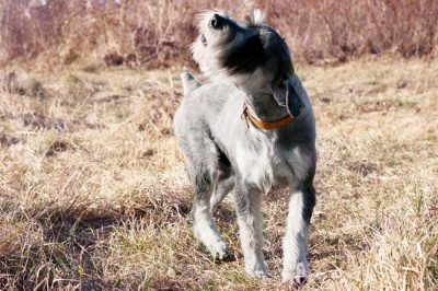 IMG_2734R_новый размер_новый размер.jpg