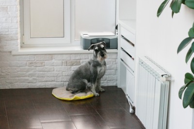 IMG_3154R_новый размер.jpg