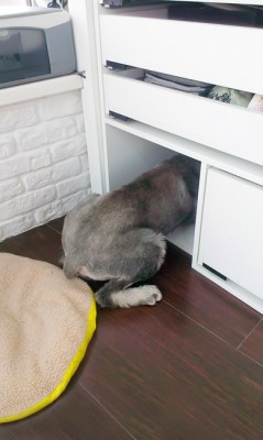 IMAG0542R_новый размер.jpg