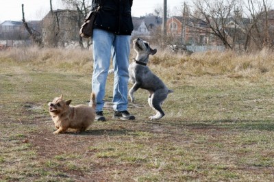 IMG_3203R1_новый размер.jpg