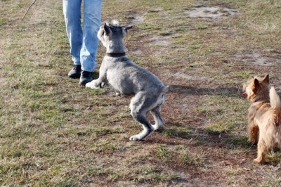 IMG_3196R_новый размер.jpg