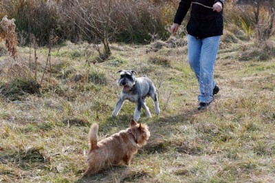 IMG_3188_1R_новый размер.jpg