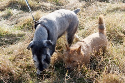 IMG_3274R_новый размер.jpg