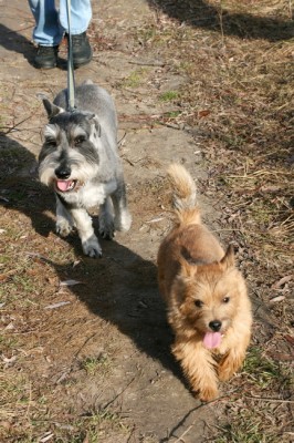 IMG_3288R1_новый размер.jpg