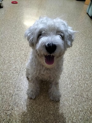 WhatsApp Image 2022-04-16 at 18.59.58.jpeg