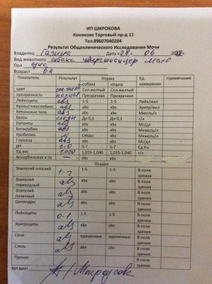 E86C6142-06A3-4310-8596-A0E5E5F8D423.jpeg