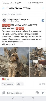 B573E7F1-16A9-40AC-B06D-605DA7AB6D6E.jpeg (141.72 КБ) 14108 просмотров B573E7F1-16A9-40AC-B06D-605DA7AB6D6E.jpeg