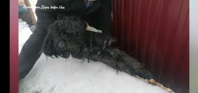 Screenshot_20230504_185004_Samsung Internet.jpg (115.21 КБ) 14094 просмотра Screenshot_20230504_185004_Samsung Internet.jpg