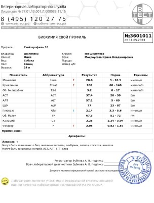 F10CE28E-F6A8-449C-8352-DAE645F5993D.jpeg