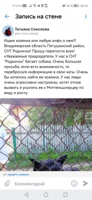 WhatsApp Image 2023-06-09 at 18.43.48.jpeg