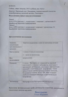 IMG-20230830-WA0006.jpg (83.7 КБ) 20101 просмотр IMG-20230830-WA0006.jpg