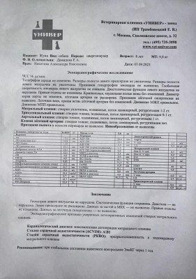 IMG-20230909-WA0011.jpg (133.21 КБ) 19876 просмотров IMG-20230909-WA0011.jpg