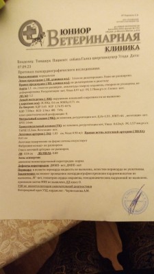 WhatsApp Image 2023-10-09 at 18.20.32.jpeg