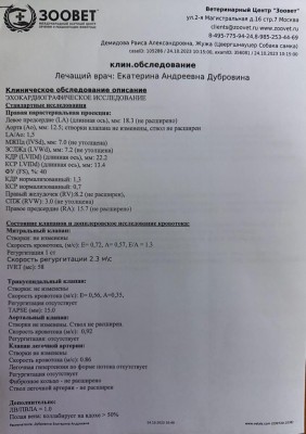 IMG-20231024-WA0002.jpg (84.24 КБ) 17241 просмотр IMG-20231024-WA0002.jpg