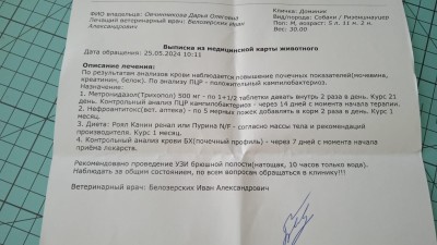 e7cce1cd-71cd-448b-96f3-379cac9ca7f7.jpg