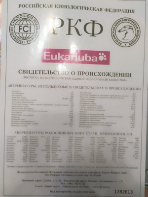 EB173014-C7EA-45E8-A60D-386B4E0B4E2B.jpeg