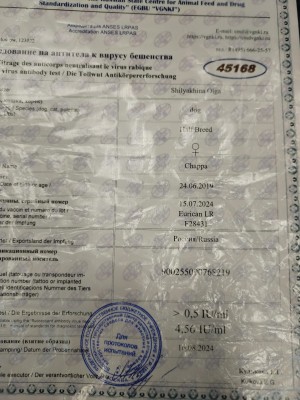 IMG-20240830-WA0007.jpg