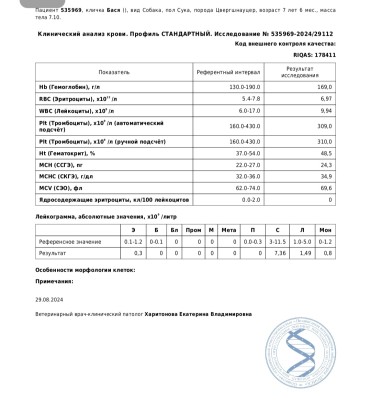 IMG_20240831_230750.jpg