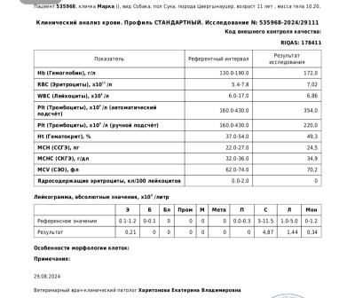 IMG_20240831_231355.jpg