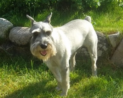SAM_2478_1.JPG