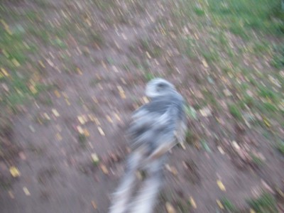 IMG_9888.JPG